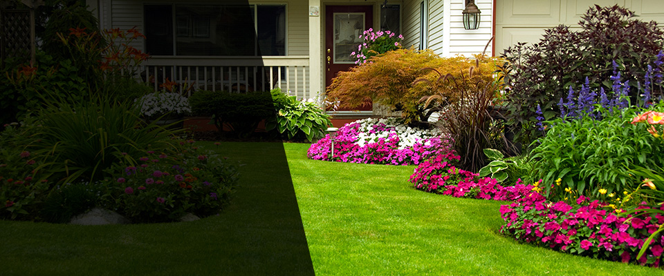 Medway Landscapers