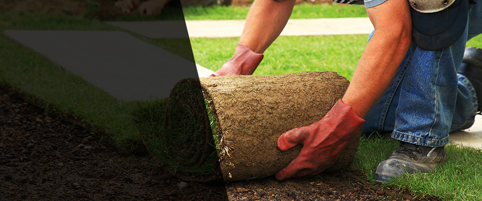 Medway Landscapers